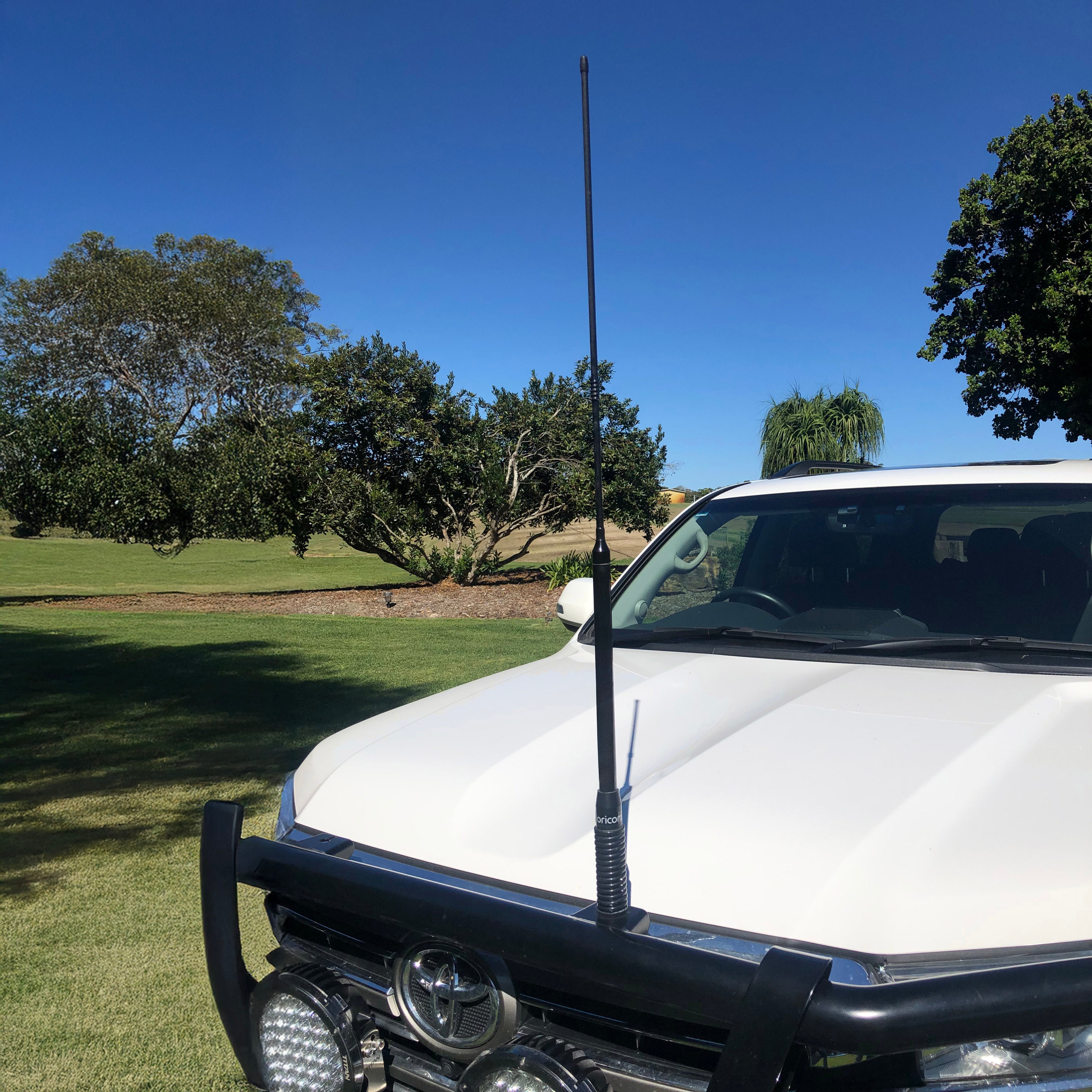 Antenna Whips