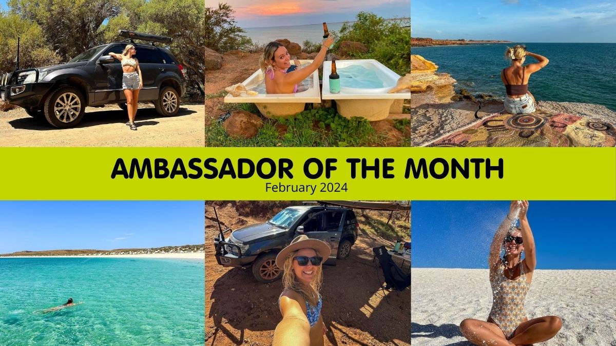 Ambassador of the Month - February