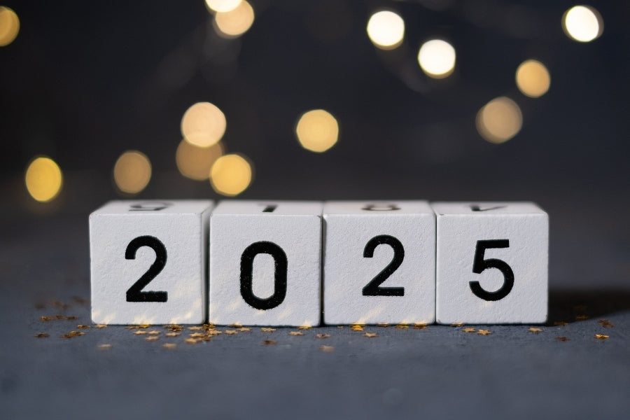 2025: The Year That Was at Oricom