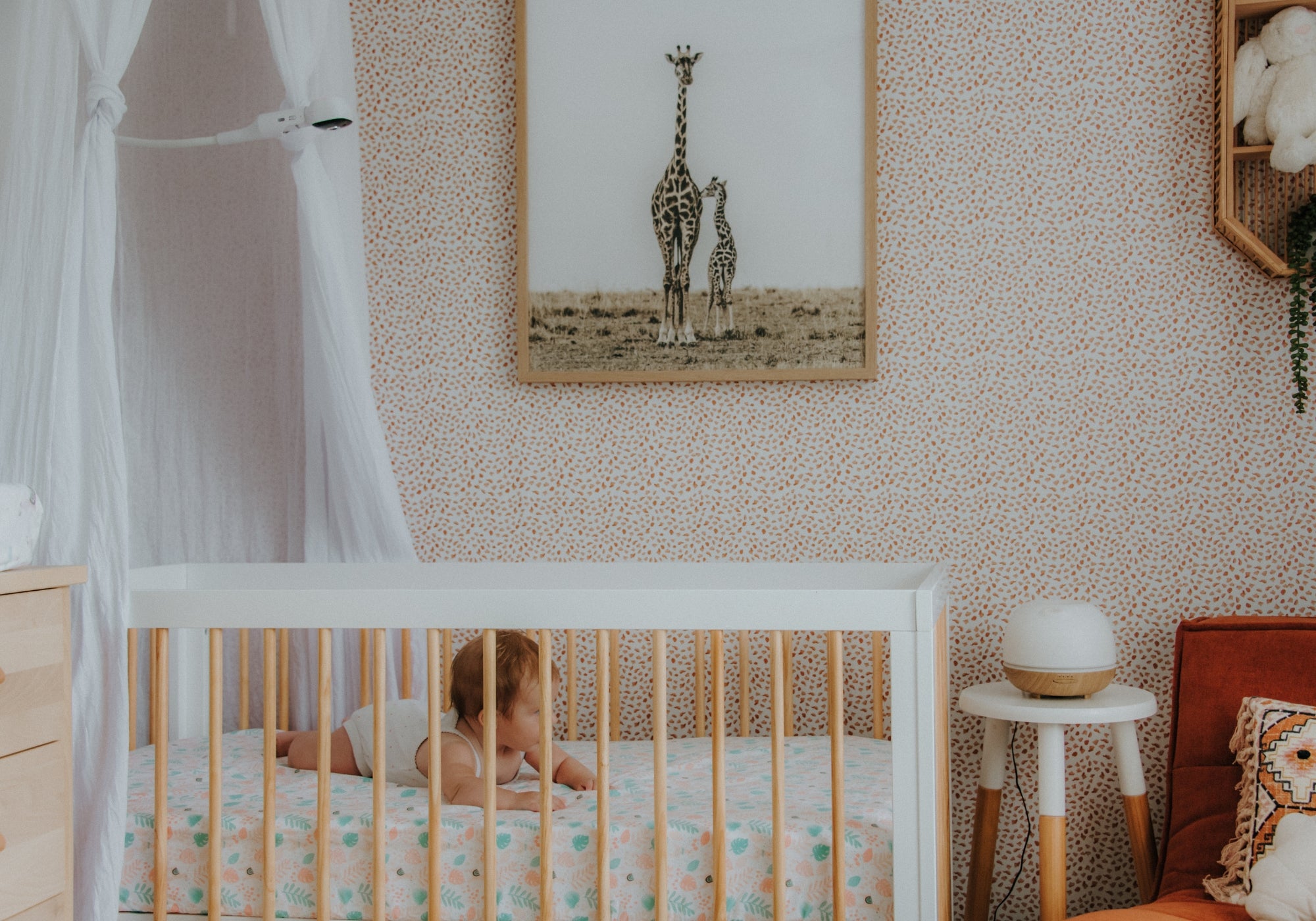 Baby Monitors & Cameras