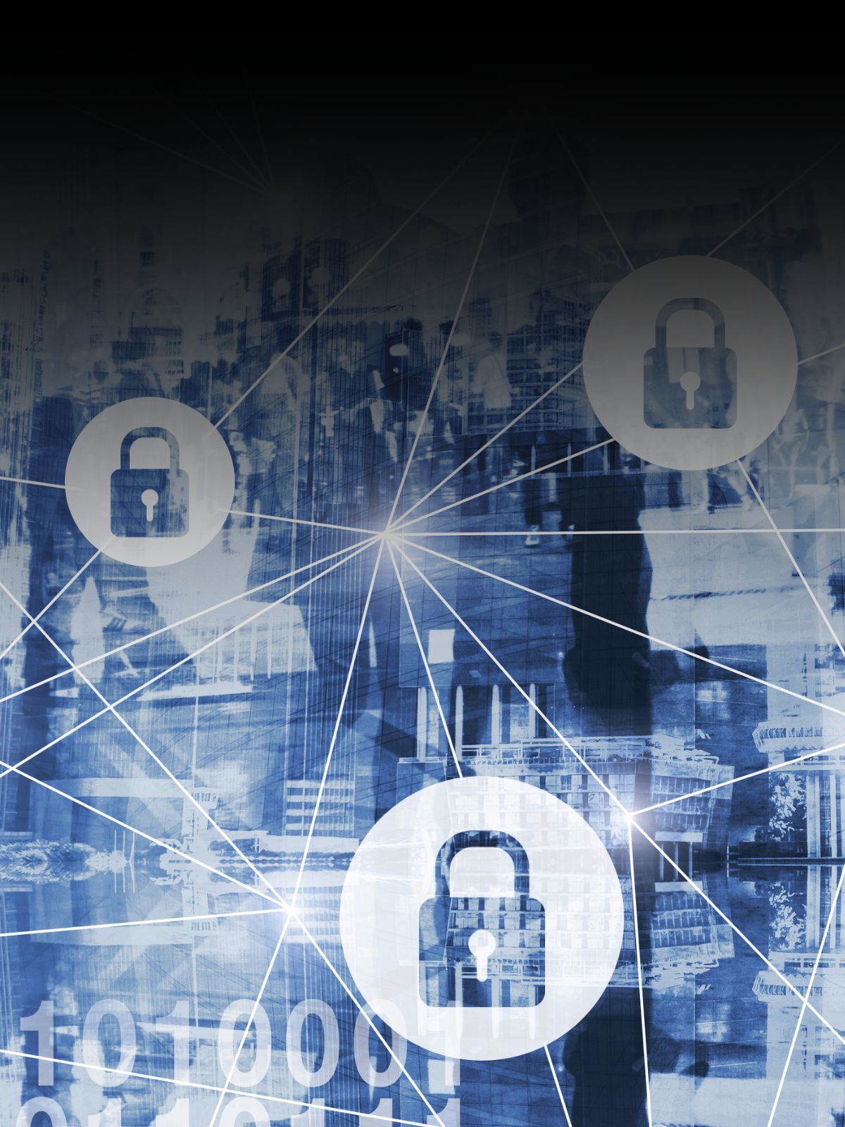 Cyber Security and Software Policy