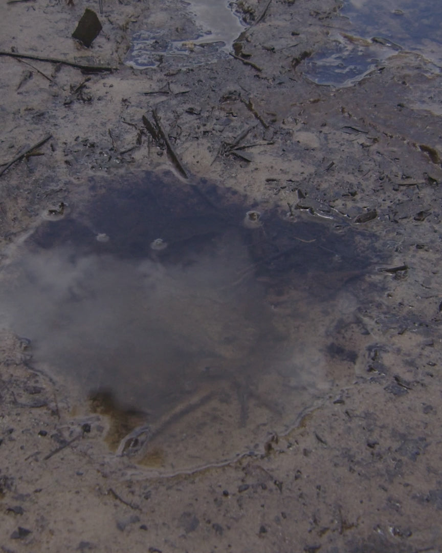 DTXTP600OR 5 Watt IP67 Waterproof Handheld UHF CB Radio Trade Pack (Twin Orange Radios)