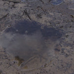 DTXTP600OR 5 Watt IP67 Waterproof Handheld UHF CB Radio Trade Pack (Twin Orange Radios)